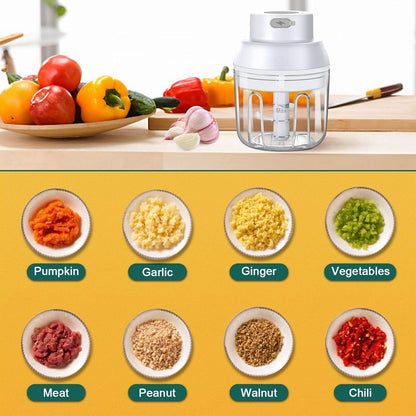 Electric Garlic Chopper, Ripamedar 45W Powerful Motor P